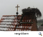 31-01-12Storchennest 1s