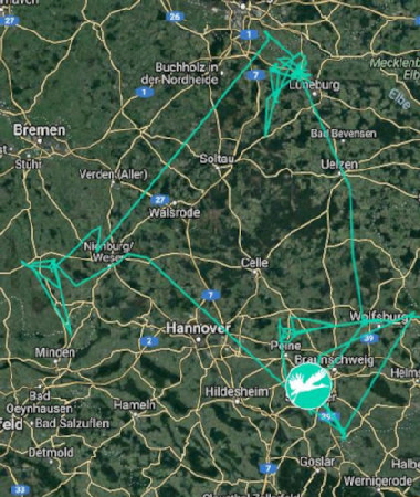 Adi in Niedersachsen 2018 Adi in Niedersachsen 2018