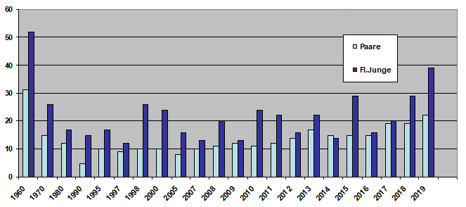 Diagramm Celle 2018