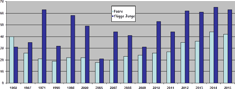 Diagramm Gifhorn 2015 Diagramm Gifhorn 2015