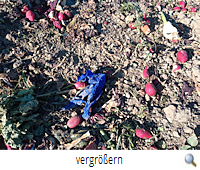 Gefährliche Gummiringe R.P. Gefährliche Gummiringe R.P.