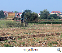 Gefährliche Gummiringe R.P. Gefährliche Gummiringe R.P.