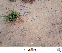 Gefährliche Gummiringe R.P. Gefährliche Gummiringe R.P.