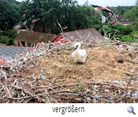 Gorleben 2 (A.Fäseke) Gorleben 2 (A.Fäseke)
