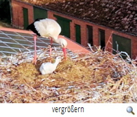 Gorleben 3 (A.Fäseke) Gorleben 3 (A.Fäseke)