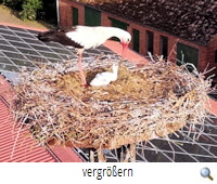Gorleben 4 (A.Fäseke) Gorleben 4 (A.Fäseke)