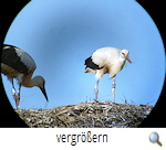 Deponie Wolfsburg 2017, Foto K. v. Heukelum Deponie Wolfsburg 2017, Foto K. v. Heukelum
