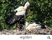 Junge duschen (R.Lunde) Junge duschen (R.Lunde)