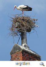 Leiferde Kirche 2019 II (H.C.Albrecht)