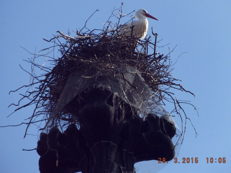 Markoldendorf 28.3.15 (R.Bode)