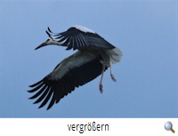 Neuhaus 2020-der erste Abflug 2 (R.Lunde) Neuhaus 2020-der erste Abflug 2 (R.Lunde)
