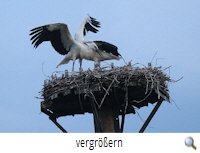 Neuhaus 2020-der erste Abflug 3 R.Lunde) Neuhaus 2020-der erste Abflug 3 R.Lunde)