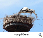 Rötgesbüttel 2014 Rötgesbüttel 2014