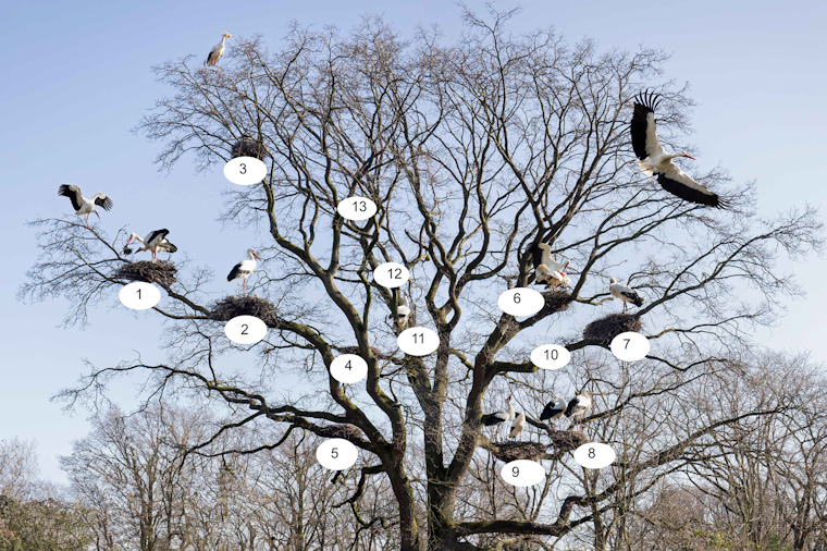 Tierpark Celle Tierpark Celle