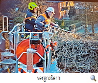 Storchennest Nienhagen-Bergung Plastiknetz (Foto Jrgen Bieda)s