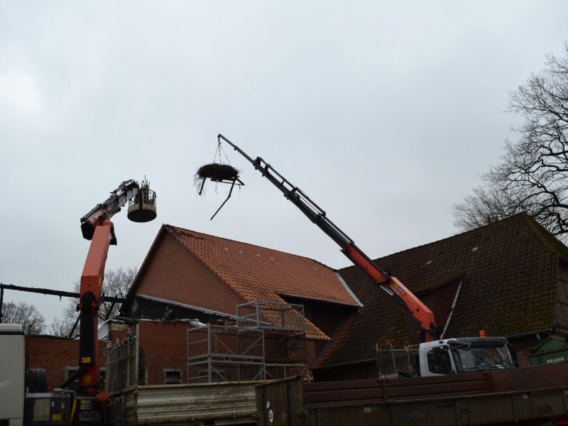 Volkse Nestentfernung 2015-02-11 11.25.58