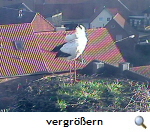 Warmenau, 28.01.16 unbenannt Warmenau, 28.01.16 unbenannt